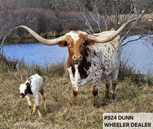 DUNN WHEELER DEALER