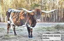 DUNN SMOKE SIGNAL